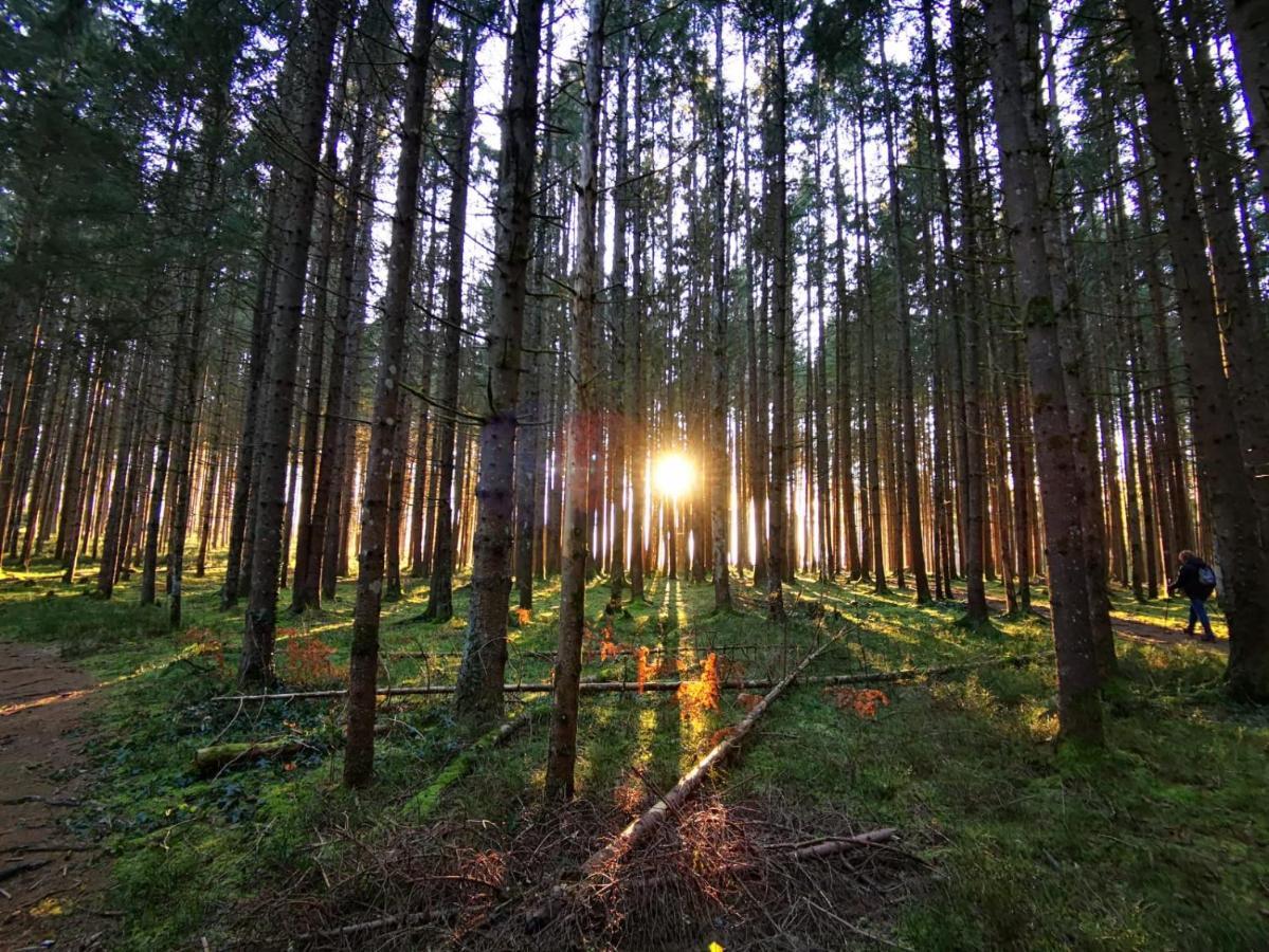 Landhotel Haeuserl Im Wald Grobming Exteriér fotografie